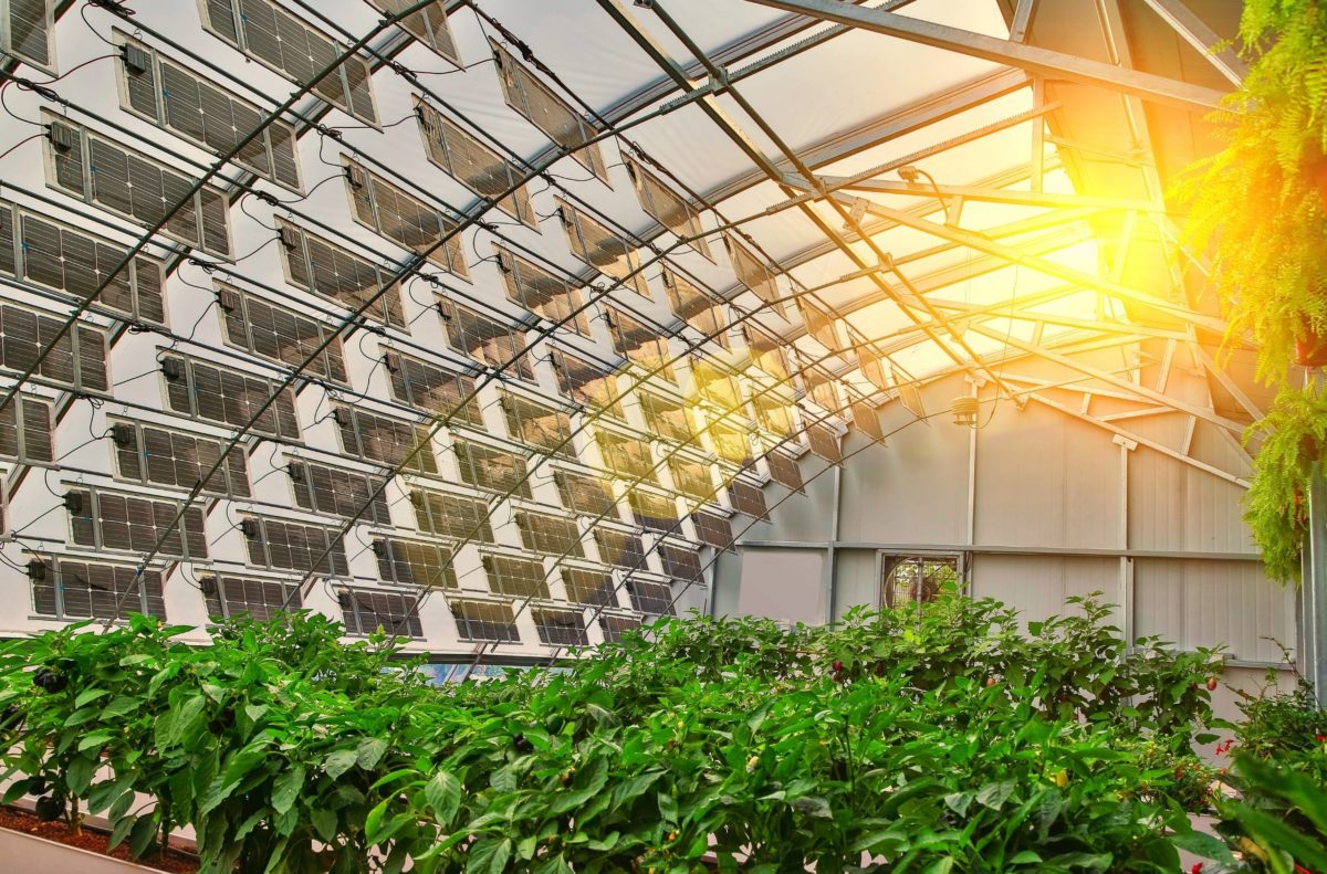 An agrivoltaics indoor farm