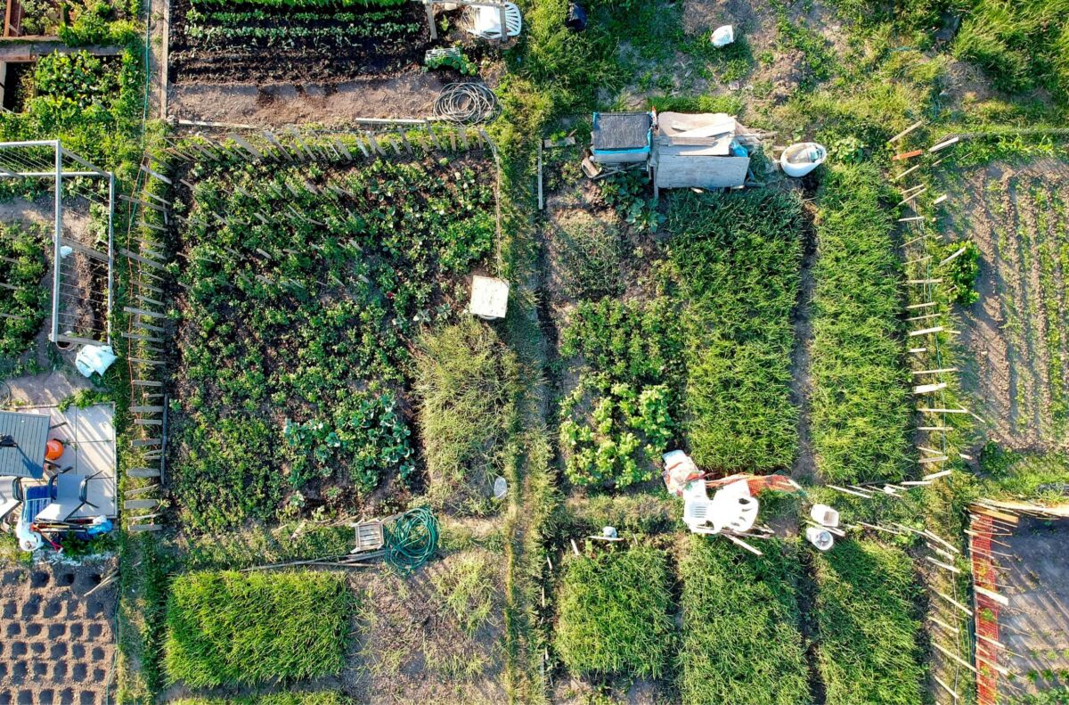 Μια πανοραμική άποψη ενός αγροκτήματος